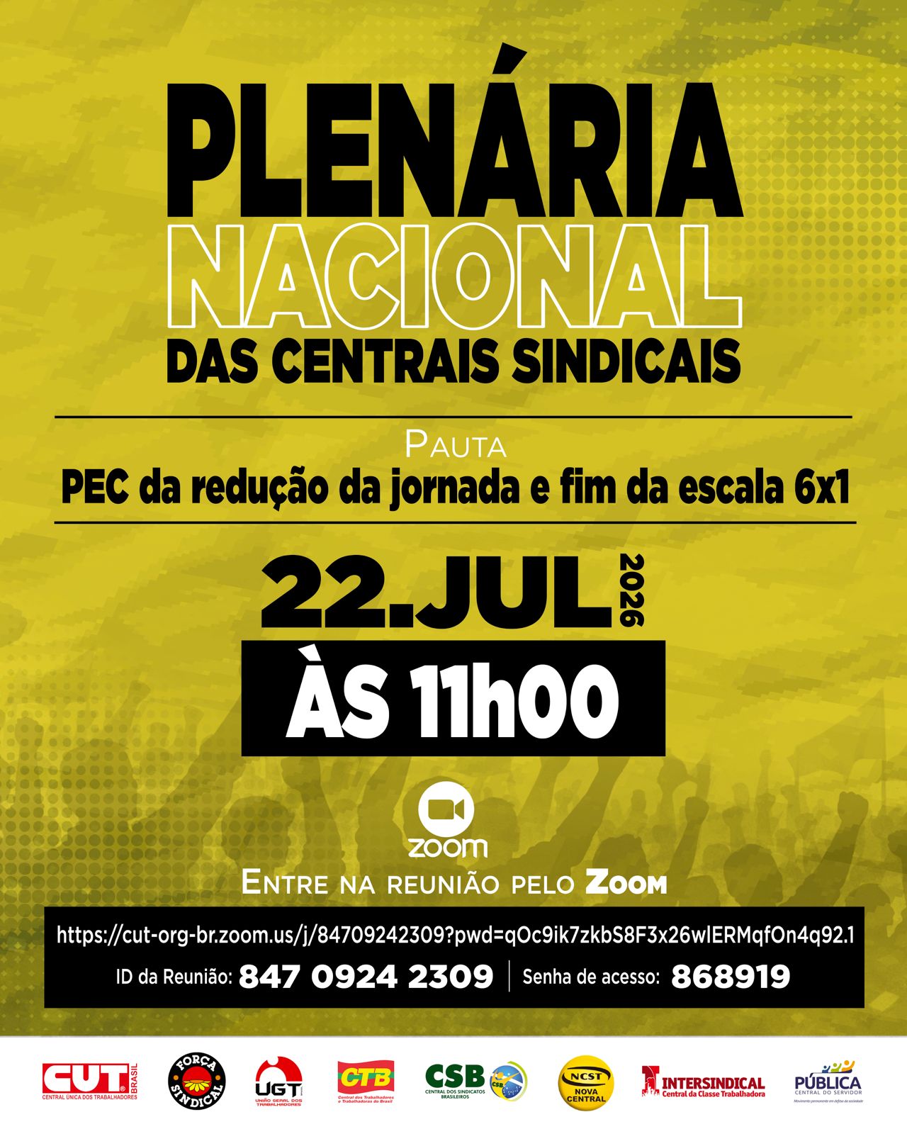 plenaria